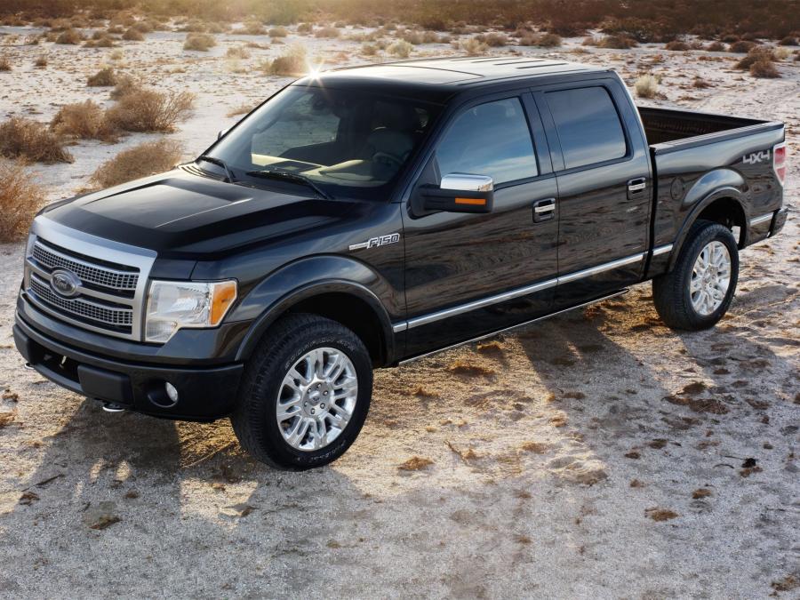  Ford F-150 Platinum 2008 года  (фото 9 из 19)